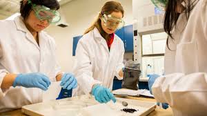 Chemical Engineering 2